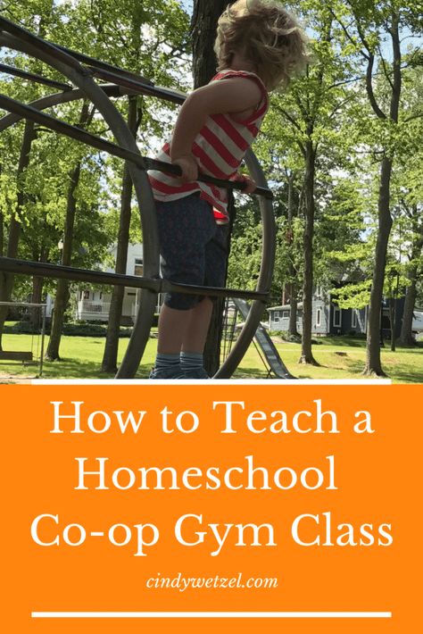 Homeschool Co Op Class Ideas, Gym Class Games, Gym Class Ideas, Homeschool Coop, Character Lessons, Kindergarten Homeschool Curriculum, Pe Class, Homeschool Lesson Plans, Kids Gym