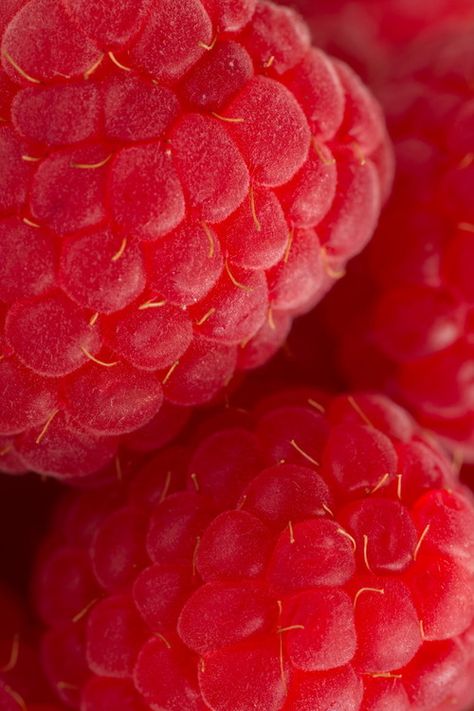 Foto Macro, Food Texture, Raspberry Red, Red Fruit, Aesthetic Colors, Natural Forms, Red Aesthetic, Color Textures, Shades Of Red