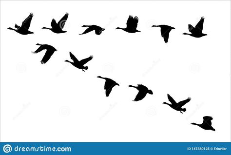 Canada Goose Silhouette, Geese Flying Drawing, Flock Of Geese Tattoo, Canadian Geese Flying, Canada Geese Tattoo, Canada Geese Flying, Canada Goose Art, Canadian Geese Tattoo, Flying Geese Tattoo