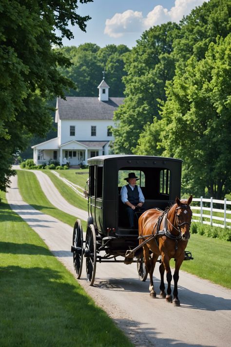 Simple Pleasures: Discovering the Charm of Amish Country in Indiana Amish Aesthetic, Random Theme, Sims Design, Amish Lifestyle, Amish Living, Amish House, Amish Culture, Amish Crafts, Amish Community