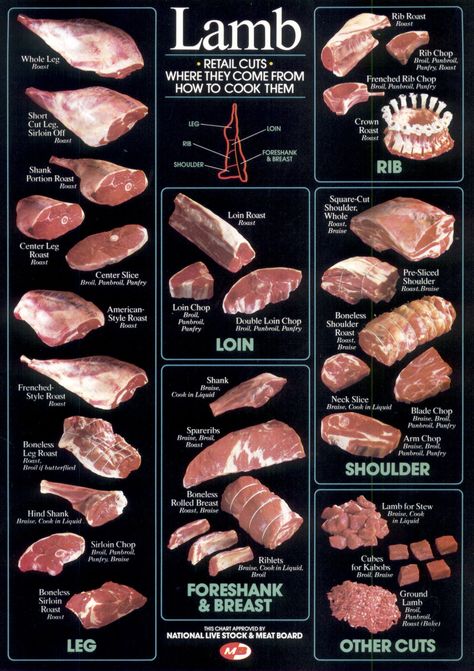 Meat Cuts Chart, Beef Cuts Chart, Culinary Lessons, Lamb Cuts, Meat Butcher, Chef Boyardee, Snacks Easy, Housekeeping Tips, Lamb Dishes