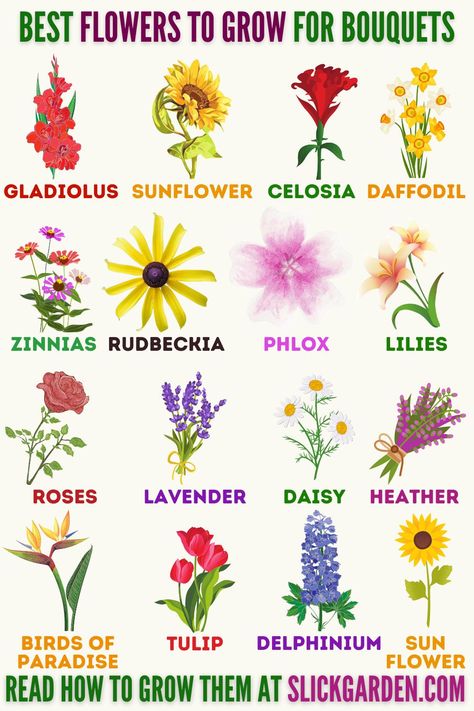 Gardening Infographic, Shaded Garden, Flowers To Grow, Stem Flowers, Long Stem Flowers, Flower Identification, Starting A Vegetable Garden, Best Flowers, Flowers Wallpapers