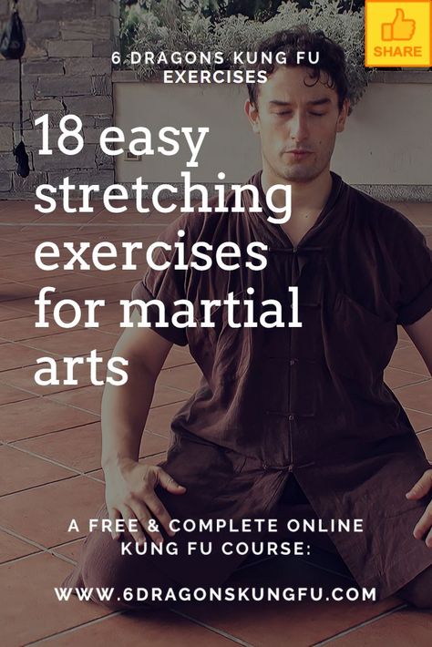 FULL BODY STRETCHING FOR MARTIAL ARTS - 18 simple exercises #stretching #6DKF #fitness #yoga #flexibility #stretch #flexible #workout #gymnastics #sport #training #mobility #fit Martial Arts Stretching Flexibility, Kung Fu Stretching, Stretches For Martial Arts Flexibility, Martial Arts Stretches, Flexible Workout, Beginner Stretches, Kung Fu Training, Home Boxing Workout, Martial Arts Books