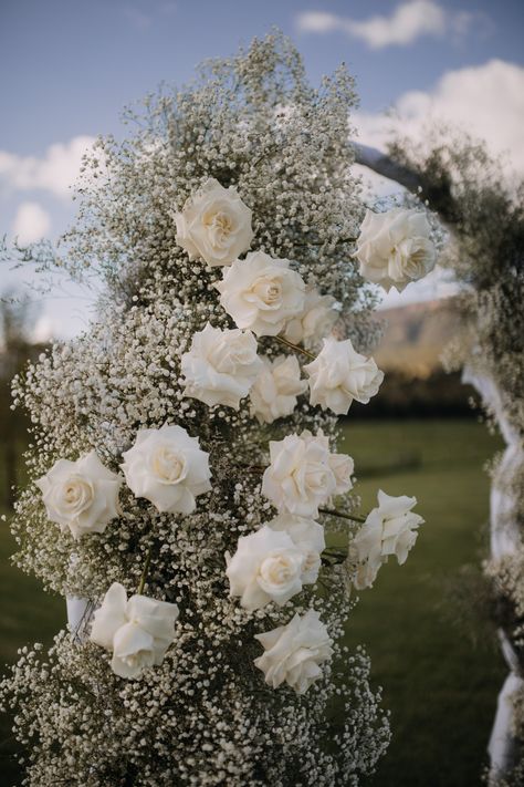 Zoe & Daniel opted for a full arch ceremony filled with babies breath and white roses to create the perfect cloud-like scene. Such a beautiful garden wedding! Captured by zeeandceestudio. Wedding Arch White Roses, Babies Breath Arch, White Rose Centerpieces, Eucalyptus Bouquet, White Roses Wedding, Books Open, Rose Centerpieces, Wedding Arch Flowers, Babies Breath