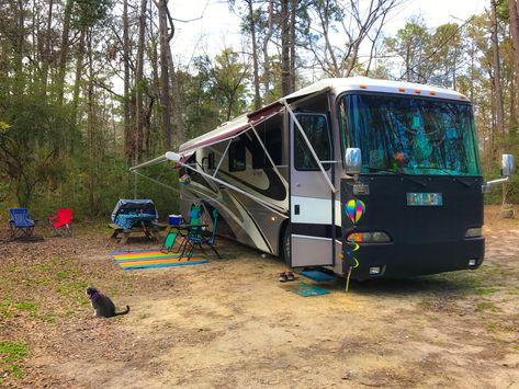 Myrtle Beach State Park, State Park Camping, Myrtle Beach South Carolina, South Carolina Beaches, Myrtle Beach, Tent Camping, South Carolina, Tent, State Parks