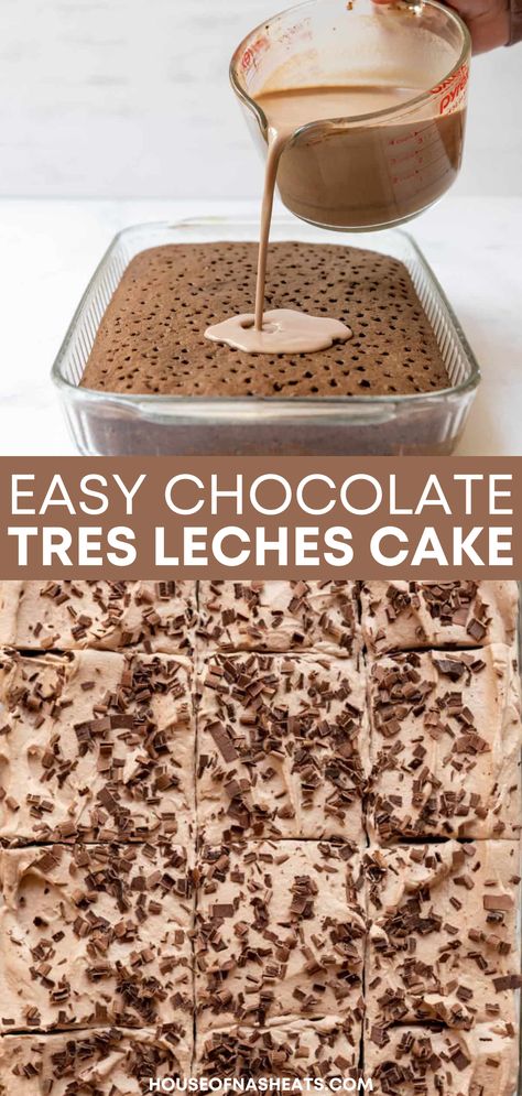 Des Leches Cake, Tres Leches Cake Recipe Chocolate, Rum Tres Leches Cake, Tees Leches Cake Recipe, Seis Leches Cake, Ridiculous Chocolate Cake, Tres Leches Cake Ina Garten, Tres Leches Cake From Scratch, Cinco Leches Cake