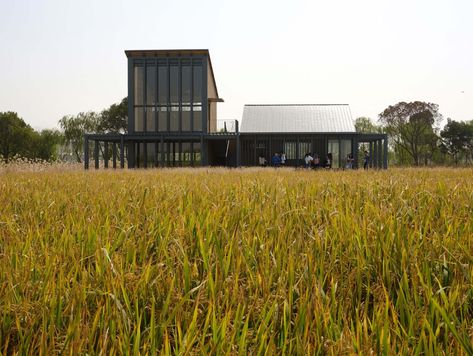 Gallery of Rice Field Bookstore of Tanjiawan Agricultural Site Park / Beeeed Atelier - 9 Field Architecture, Building View, Chinese Palace, Rice Field, Community Housing, High Building, Farm Field, Steel Columns, Rural Life