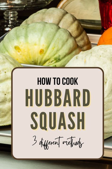 A Pinterest pin showing a Hubbard squash and key facts. The image highlights nutrition, benefits, and simple tips on cooking, buying, and storing Hubbard squash. Ideal for anyone wanting to cook healthy and tasty meals. #HubbardSquash  #SquashRecipes Hubbard Squash Recipes, Squash In Oven, Hubbard Squash, Pumpkin Varieties, Nutrition Health, Winter Squash, Squash Recipes, Zucchini Recipes, Side Recipes