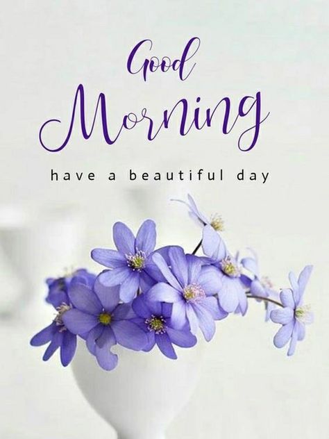 Good Morning Saturday Images with Beautiful Quotes 8 Good Morning Saturday Images, Nice Good Morning Images, Saturday Images, Beautiful Good Morning, Good Morning Saturday, Good Morning Happy Sunday, Good Morning Flowers Quotes, Good Morning Flowers Pictures, Good Morning Beautiful Pictures