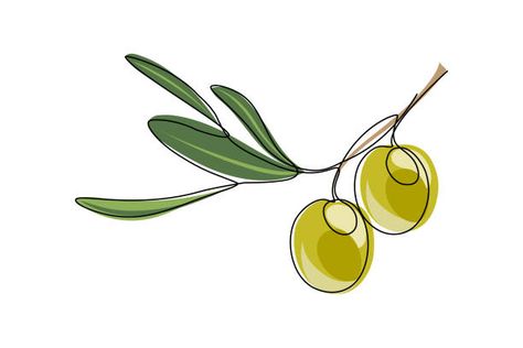 Olive Line Drawing, Olive Tree Vector, Olives Drawing, Olive Tree Illustration, Olives Illustration, Olive Tree Drawing, Olive Tree Logo, Olive Drawing, Olive Cartoon