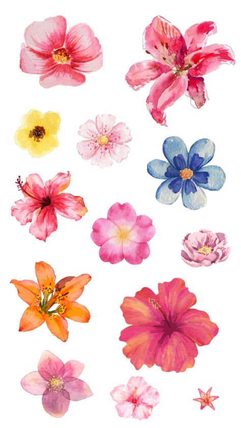 #collage #aesthetic #flower #flowers #lilies #hibiscus #watercolor #paintings #viralpost Hibiscus Flower Painting, Hibiscus Water, Hibiscus Painting, Hibiscus Watercolor, Flower Collage, Aesthetic Flower, Watercolor Flowers Paintings, Hibiscus Flower, Water Colour