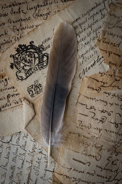 plume tombée dans les archives | Flickr - Photo Sharing! Old Letters, Lost Art, Dark Academia Aesthetic, Academia Aesthetic, High Fantasy, Old Paper, Old Books, Dragon Age, Book Aesthetic