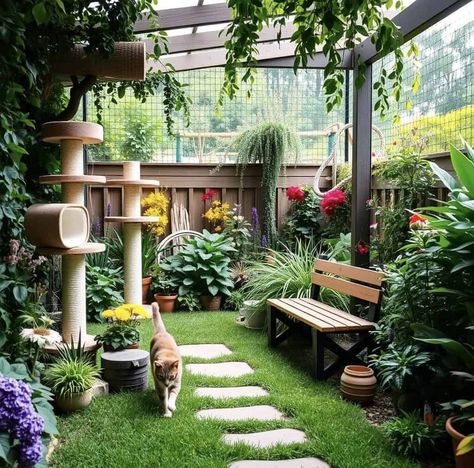 Outdoor Cat Area, Cat Catio, Cat Walkway, Catio Ideas, Cat Area, Cat Nutrition, Fish Breeding, Outdoor Cat House, Pet Guinea Pigs