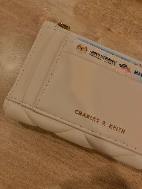 Charles And Keith Card Holder, Charles And Keith Wallet, Charles And Keith, Driving License, Charles Keith, Cartoon Illustration, Continental Wallet, Zip Around Wallet, Vision Board