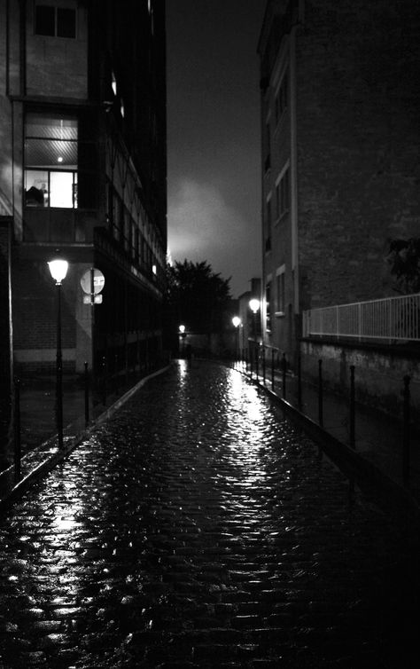 Luc Dartois 2019 - Paris la nuit sous la pluie, rue Berton - Paris by night under the rain, Berton street - #Dartois #LucDartois #Paris #RuesDeParis #StreetsOfParis #ParisLaNuit #ParisByNight #Nuit #Night #Pluie #Rain #Photo #NoiretBlanc #BlackandWhite Photo Sombre Aesthetic, Photo Sombre, Rue Aesthetic, Rain Black And White, Paris Night Aesthetic, Night Black And White, Noir Photography, White Aesthetic Photography, Lamps Black