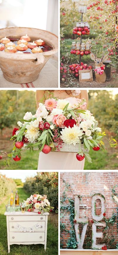 Apple Orchard party ideas http://www.theperfectpalette.com/2014/09/apple-orchard-wedding-inspiration.html Rustic Chic Fall Wedding, Apple Orchard Party, Moulin Rouge Wedding, Apple Orchard Wedding, Apple Wedding, Orchard Wedding, Theme Nature, Apple Theme, Wedding Inspiration Fall