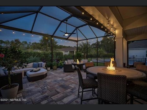 Pool Screen Lighting Ideas, Screened Lanai Ideas Florida, Screened In Pool Patio Decorating Ideas, Screened In Lanai Florida, Screened In Pool Decorating Ideas, Florida Screened Patio Ideas, Bird Aviary Ideas Outdoor, Screen Pool Patio Ideas, Screened Pool Patio Ideas