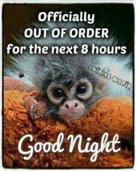 101 Good Night Memes - "Officially OUT OF ORDER for the next 8 hours. Good night." Good Night Meme, Funny Good Night Images, Funny Good Night Quotes, Good Night My Friend, Evening Quotes, Good Night Funny, Bear Quote, Cute Good Night, Slaap Lekker