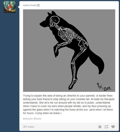 Otherkin Cringe, Tumblr Cringe, Dog Therian, Fox Therian, Therian Quadrobics, I'm Not Like Other Girls, Timber Wolf, Exotic Pets, Text Posts