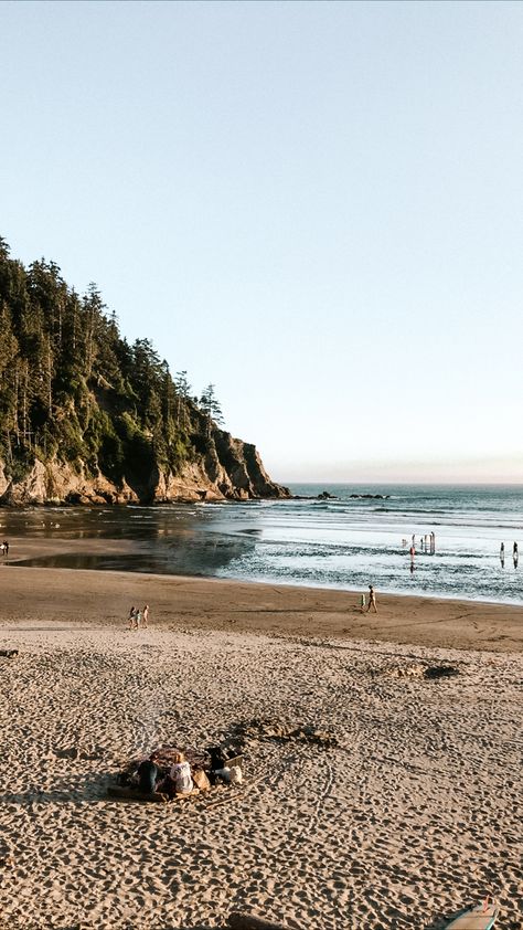 Beach With Forest, Pacific Northwest Beach Aesthetic, Forest And Beach Aesthetic, Forest Beach Aesthetic, Forest Meets Ocean, Beach Forest Aesthetic, Forest By The Sea, Cottagecore Beach Aesthetic, Pnw Beach Aesthetic