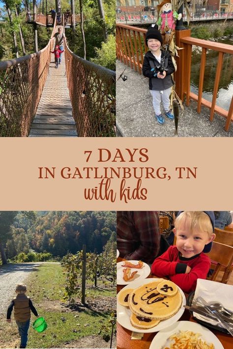 Smoky Mountains Family Vacation, Smoky Mountain Family Trip, Smokey Mountains With Kids, Gatlinburg With Toddlers, Things To Do In Gatlinburg With Kids, Gatlinburg With Kids, Great Smoky Mountains With Kids, Gatlinburg Tennessee With Kids, Smokey Mountain National Park