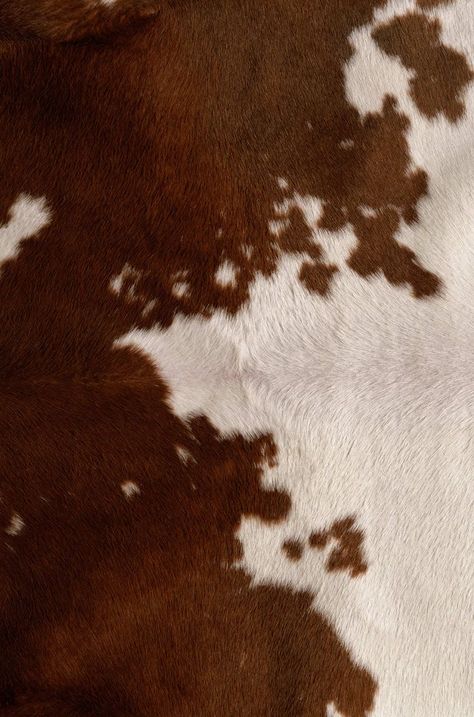 Modern Cowboy Aesthetic, Western Aesthetic Wallpaper, Cow Print Wallpaper, Picture Gallery Wall, Skin Drawing, Cow Pictures, Western Wall Art, Modern Western, Western Aesthetic