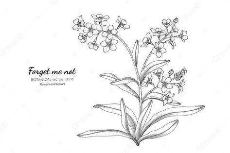 Premium Vector | Forget me not flower and leaf hand drawn botanical illustration with line art. Nice Tattoo Ideas, Tattoos For Mom, Tattoo Drawing Ideas, Botanical Wreath, Pyrography Patterns, Painting On Clothes, Fabric Painting On Clothes, Forget Me Not Flower, Artist Journal