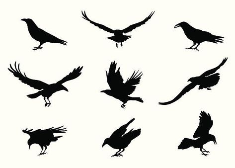 Cuervo Vectores Libres de Derechos Crows Flying, Crow Flying, Car Stripes, Crow Bird, Vector Silhouette, Tattoo Outline, Free Vector Art, Ravens, Tattoo Images