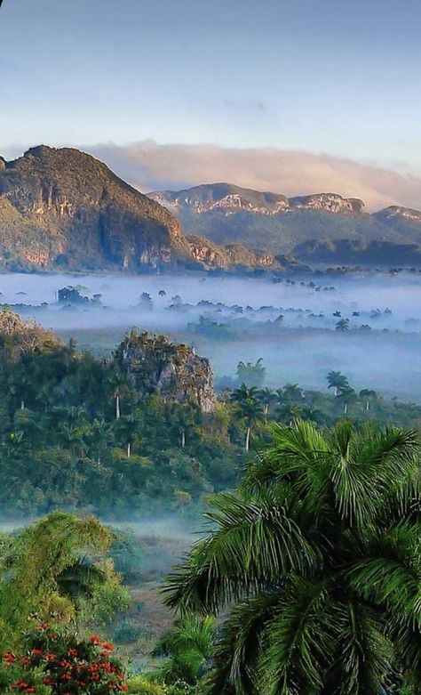 Cuba Vinales, Cuba Holiday, Inspo Art, Vinales, Cuba Travel, Morning View, Game Illustration, Havana Cuba, Country Side