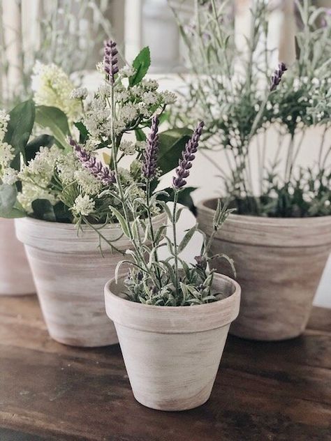 Small Terra Cotta Pots, Terra Cotta Flower Pots, White Terra Cotta Pots, Terra Cotta Pot Wedding Decor, Chalk Paint Terra Cotta Pots, Flowers In Terracotta Pots, White Terracotta Pots, Plants In White Pots, White Wash Terra Cotta Pots