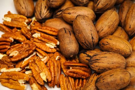 Pecan Tree Care, Harvesting Pecans, Acreage Ideas, Squirrel Tattoo, Nut Trees, Garden Sanctuary, Vegetable Harvest, Pecan Tree, Pecan Nuts