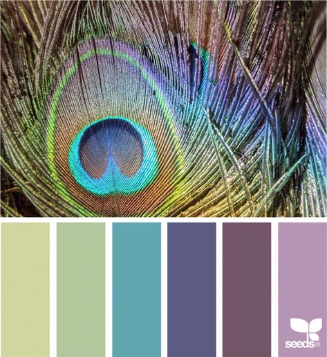 Peacock Hues | design seeds | Bloglovin’ Peacock Color Scheme Wedding, Peacock Color Scheme, Peacock Colours, House Themes, Seeds Color, Future Office, Coloring Journal, Hue Color, Color Schemes Colour Palettes