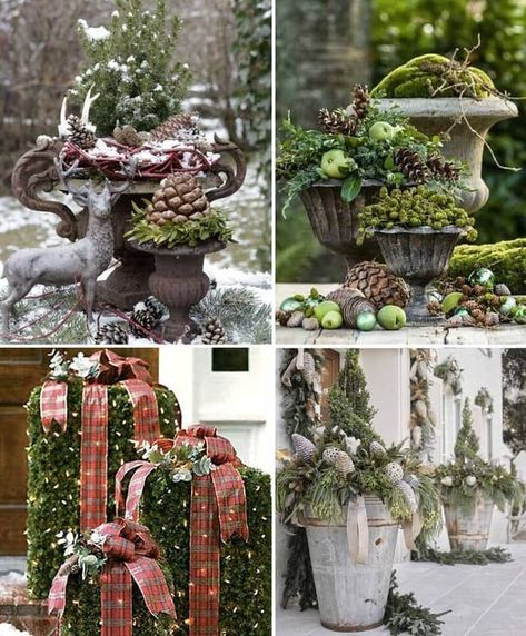 Zinc Planters, Garden Inspired, Cozy Cottage, Outdoor Christmas Decorations, Outdoor Christmas, Christmas Cheer, Winter Decor, Christmas Home, Christmas Time