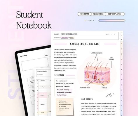 Customizable Digital Planner Templates 2024: Tailor-Made for Your Unique Needs. Hyperlinked Digital Notebook Free, Goodnotes Template Free Student, Goodnotes Study Template, Kilonotes Template, Free Digital Notebook Goodnotes, Digital Notebook Free, Goodnotes Notes Template, Free Digital Notebook, Reticular Formation