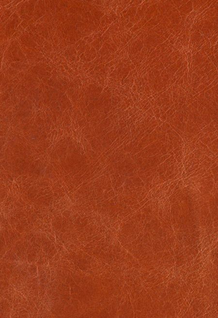 Hermes orange leather seat covering Speakeasy Decor, Hermes Orange, Orange Texture, Burnt Orange Color, Leather Books, Orange Background, Rust Orange, Color Swatch, Leather Texture