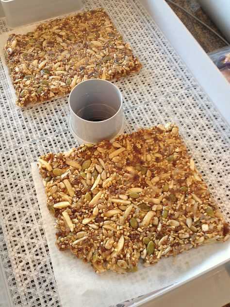 A few days ago I made these fantastic and super-healthy raw granola bars from a whole mess of seeds and nuts. Pumpkins seeds, steel-cut oatmeal, flax seeds, quinoa, sunflower seeds, and almonds are… Homemade Banana Chips, Raw Bread, Dehydrator Ideas, Dehydrated Recipes, Raw Granola, Seed Bars, Steel Cut Oatmeal, Nut Cookies, Dehydrating Food