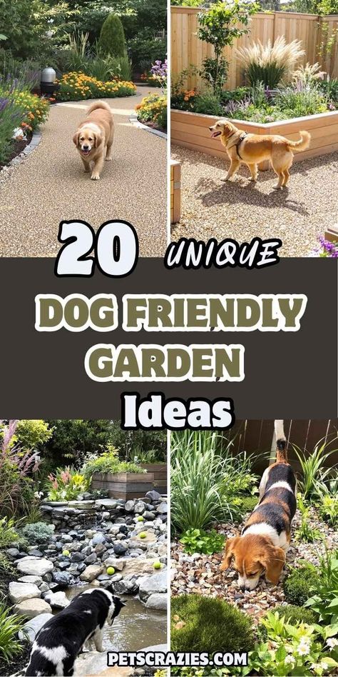 20 Dog Friendly Garden Ideas to Keep Your Dog Happy 2 Dog Friendly Garden Ideas, Dog Garden Ideas, Dog Friendly Backyard Landscaping, Dog Backyard Playground, Dog Yard Landscaping, Dog Run Side Yard, Pet Friendly Backyard, Pet Friendly Yard, Dog Park Equipment