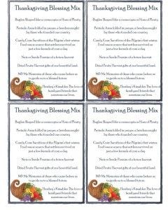 Thanksgiving Blessing Mix – Cranial Hiccups Blessing Mix Recipe, Thanksgiving Blessing, Thanksgiving Sunday, Thanksgiving Baskets, Quotes Thanksgiving, Appetizers Thanksgiving, Crafts Thanksgiving, Cellophane Gift Bags, Thanksgiving Jokes