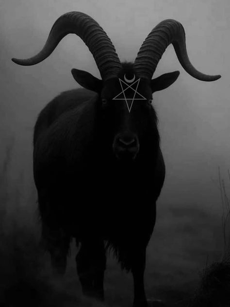 Satancore Aesthetic, Satanism Pfp, Satanic Pfp, Satanism Aesthetic, Demon Animal, Satanic Ritual Aesthetic, Demon Goat Aesthetic, Subtle Satanic Wallpaper, Goat Drawing Satanic