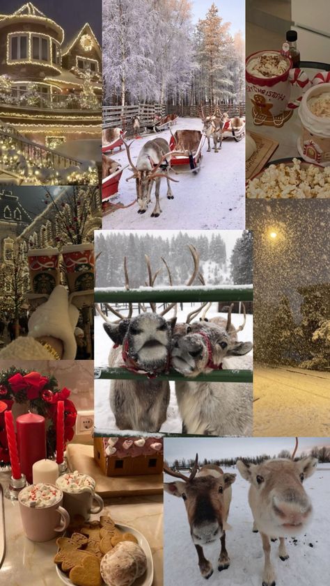 #myfirstshuffle Christmas Winter Wallpaper, Horse Background, Christmas Lockscreen, Collage Christmas, Cow Wallpaper, Winter Horse, Western Wallpaper Iphone, Fluffy Cows