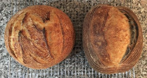 Tartine Bread, Wheat Bread Recipe, Country Bread, Dough Scraper, Baking Stone, Whole Wheat Bread, Loaf Recipes, Yeast Bread, Whole Wheat Flour