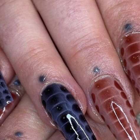 Margot on Instagram: "Reptil nails for @chatreand 🤎" Reptile Nails, October Nails, October 21, Reptiles, Nail Inspo, Nails, Makeup, On Instagram, Instagram