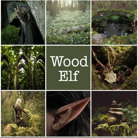 Wood Elf Druid Aesthetic, Dnd Core Aesthetic, Wood Elf Dnd Druid, Ranger Dnd Aesthetic, Dnd Ranger Aesthetic, Fantasy Elf Aesthetic, Druid Aesthetic Dnd, Wood Elf Names, Wood Elf Aesthetic