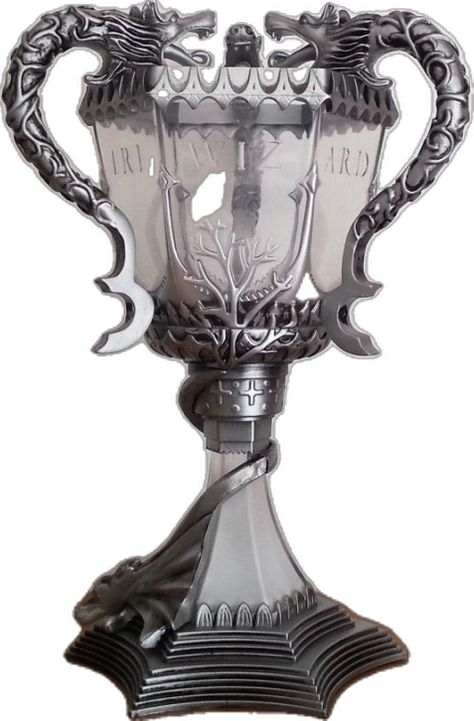 Triwizard Cup, Prop Replicas, The Goblet Of Fire, Goblet Of Fire, Replica Prop, Movie Props, Harry Potter