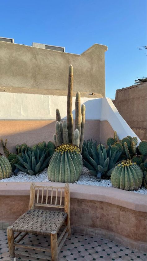 Mexican Garden Ideas, Cactus Garden Landscaping, Desert Backyard, Large Backyard Landscaping, Succulent Landscape Design, Small Garden Landscape, Mexican Home Decor, Front Landscaping, Desert Garden