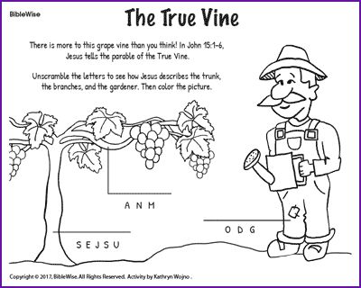 I Am The True Vine Activities, Jesus Parables, Vine And Branches, Kids Sunday School Lessons, Parables Of Jesus, True Vine, Childrens Bible, I Am Statements, The Gardener