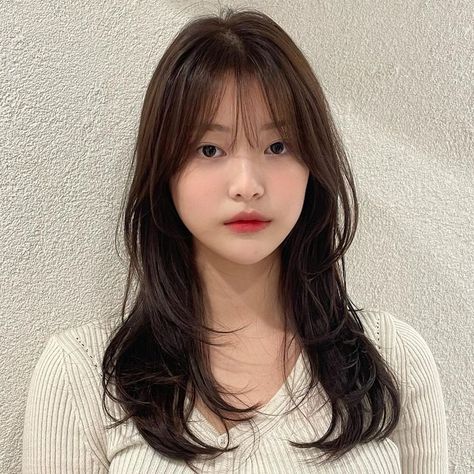 Korean Layered Haircut, Korean Long Hair, Hair Style Korea, Extension Hair, Haircut Style, Hair Inspiration Long, Hair Inspiration Short, Hairstyles For Layered Hair, Shot Hair Styles