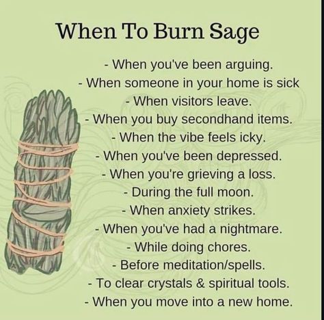 Lady Ariel on Instagram: "When to burn sage… sage has always been my go-to herb as that’s what was used in the home when I was a child. I live near a reservation, so ethically sourcing it is not too difficult to do. #LadyAriel #herbs #healingherbs #herbalmagick #herbalism #smoke #smudge #smudgestick #smudging #smudgingsage #smudgingritual #smudgingstick #smudgingherbs #smudgingceremony #witchcraftspells #witchcraftmemes #witchcraftforbeginners #witchcraft #witchesofinstagram #witchywoman #wit Sage Spiritual, Burn Sage, Smudging Prayer, Witch Crafts, Burning Sage, Sage Smudging, Witch Spirituality, Magic Spell Book, Magic Herbs