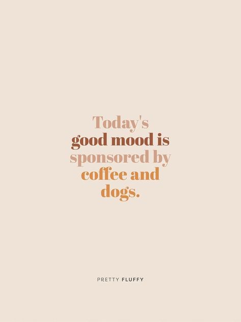 Funny Dog Quotes, Coffee And Dogs, Dog Mom Quotes, Cute Dog Quotes, Dog Lover Quotes, Dog Quote, Quote Wallpaper, Dog Quotes Funny, Crazy Dog Lady