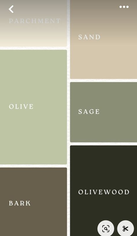 Olive Green House Interior, Brown And Sage Color Palette, Green Brown Color Palette, Olive Green House, Bees Nest, Sage Color Palette, Green Exterior Paints, Tan Walls, House Colours